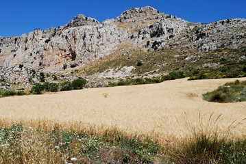 View of Karst mountains in El Torcal National Park, Antequera.