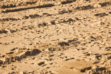 England. Southport. February 2011. Part of the beach at Southport disturbed by feet and vehicles.