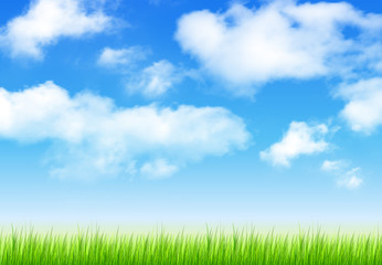 Fototapeta na wymiar Blue sky with clouds ans grass