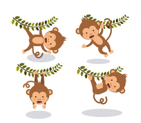 cute monkey  design 