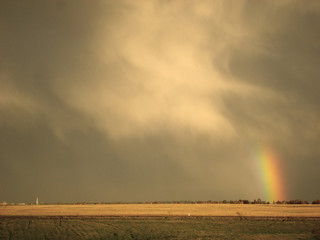 Fototapeta na wymiar The rainbow in the field