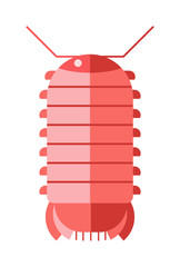 Centipede millipede cartoon posing flat insect vector.
