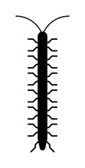 Centipede millipede cartoon posing flat insect vector.