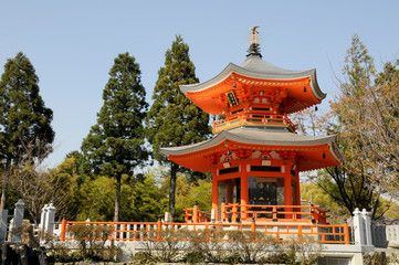 Fototapeta premium 正法寺