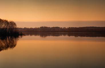 Fototapeta premium Beautiful landscape with old willow tree at sunrise. River