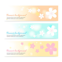 Set of spring banner background with cherry blossom on soft tone