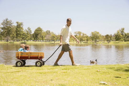 Father pulling wagon with sons inside at lakeside, Newport Beach, California, USA