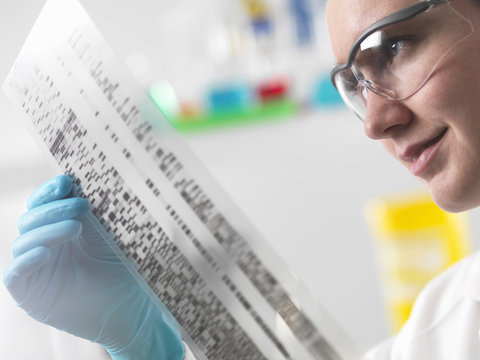 Scientist holding DNA autoradiogram in laboratory