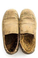 bird's nest In shoes on white