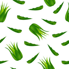 Aloe Vera isolated on white