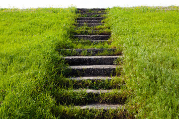 Stone stairs in grass