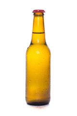 glass of beer isolated on white background