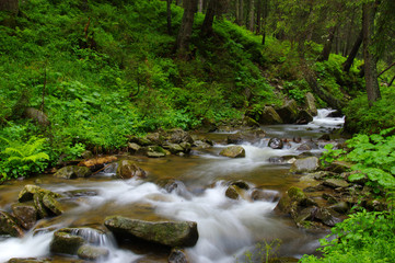 Obraz premium Mountain river in forest.
