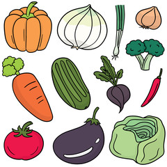 vector set of vegetable