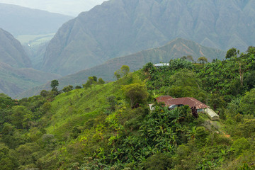 paisaje cafetero departamento del huila colombia