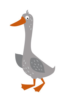 Cartoon goose with big eyes and yellow beak farm animal vector. 