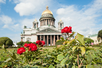 Saint Isaac's Cathedral (Isaakievskiy Sobor) in Saint Petersburg, Russia (focus on the right flower)