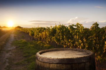 Empty wooden table with vineyard landscape in France on background. Header for website