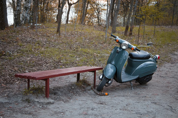 Old scooter in autumn forest