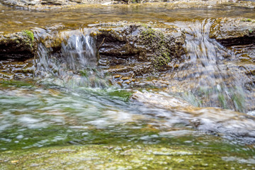 Risalendo il rio Ardenza (Livorno).