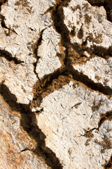Soil erosion. Cracks.