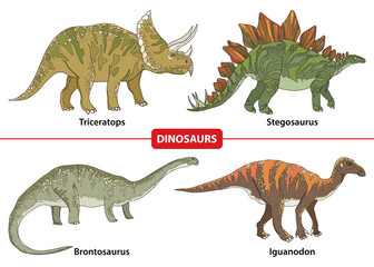 Set with Triceratops, Stegosaurus, Brontosaurus and Iguanodon isolated on white background. Series of prehistoric dinosaurs. Fossil animals and reptiles in contour style.