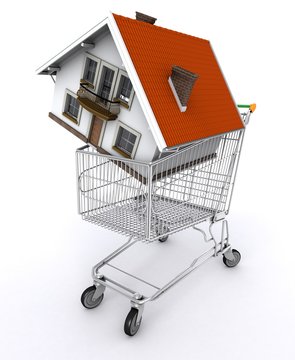 House in shopping cart concept image