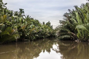 Fototapeta na wymiar canal in the Mekong delta