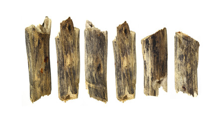 log wood isolated on white