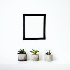 Mock up. Scandinavian home design. Wall decoration and succulents.   Place for text or picture.