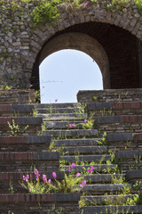 Purple flowers on stairs of the Roman Theater in Benevento.