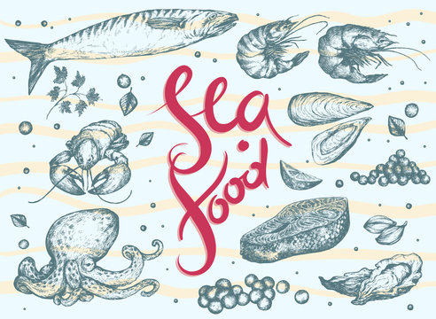 Seafood Set: red and black caviar, oyster, mussel, tiger shrimp, salmon steak, fish, octopus, shrimps, lobster, seasoning. Hand drawn Vector illustration. Realistic sketches.