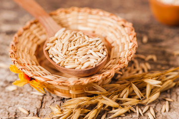 Obraz premium ears oats