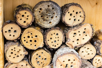 Obraz premium insektenhaus insektenhotel