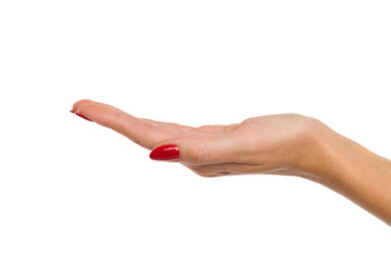 Woman's Hand With Red Nails Presenting