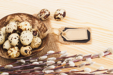 Quail Easter eggs in the bowl