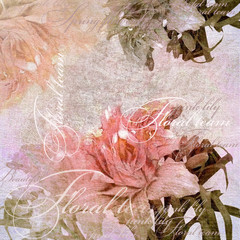 pink floral design, vintage pastel background - obrazy, fototapety, plakaty