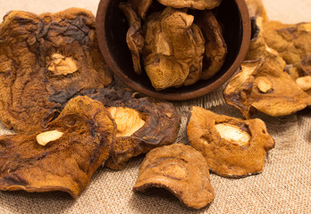 Dried mushrooms on canvas