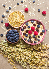 Healthy porridge with fruits on canvas