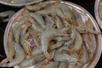 Shrims at Busan fish market