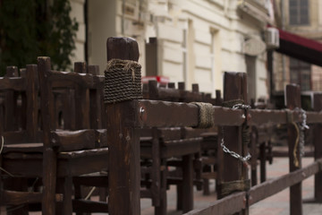 Detail of summer ground closeup