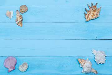 Assorted seashells on blue wooden background, flat lay, copyspace