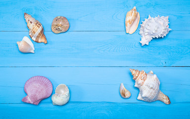 Obraz na płótnie Canvas Assorted seashells on blue wooden background, flat lay, copyspace