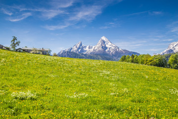 Fototapeta premium Idyllic landscape in the Alps with meadows and farmhouse