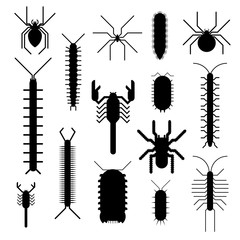 Spiders and scorpions dangerous insects animals vector cartoon flat illustration