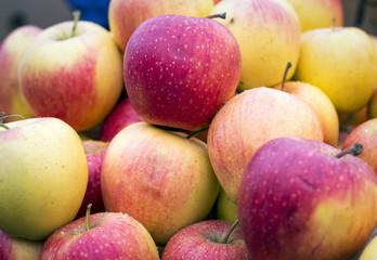 Beautiful red and yellow apples on the market