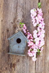 twigs with cherry flowers and birdcage