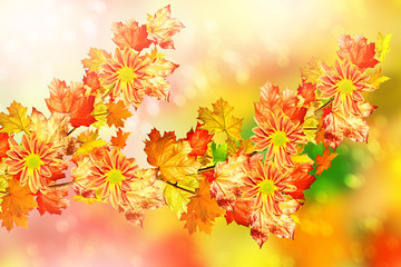 Naklejka na ściany i meble Autumn foliage. Golden Autumn.