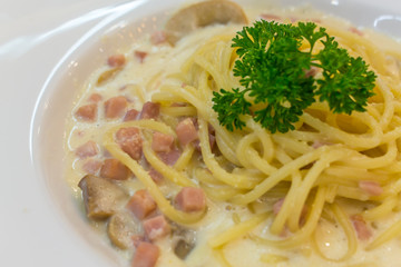 Spaghetti Carbonara on a white plate with ham