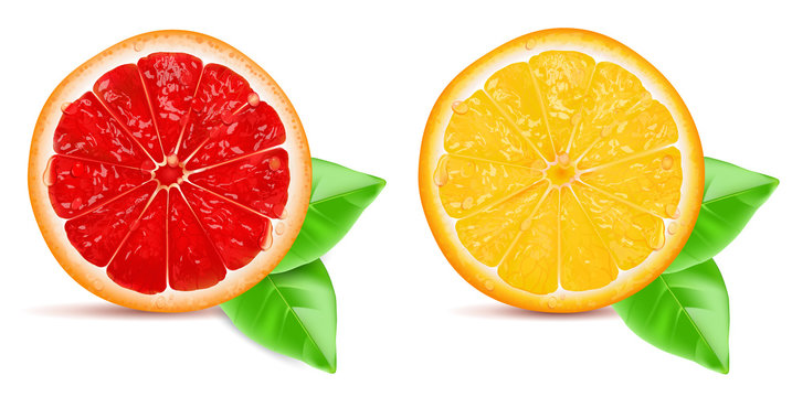 Red grapefruit slice and orange slice with leaf isolated on white background.